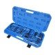 Timing tool set for Citroen, Peugeot